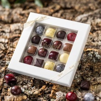 Christiansfelder star 16