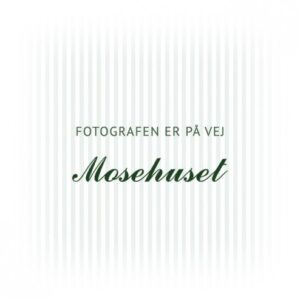 Koriander hele / stødt 75g