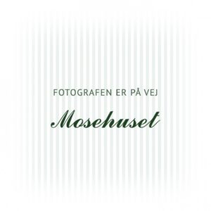 Jomfru i det grønne (Nigellafrø) 80 g