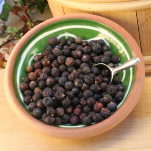 Krydderier. enebær. Mosehusets købmandsgård